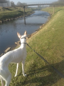 Connie enjoying the River Mersey View